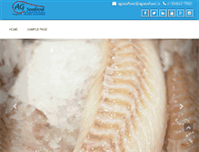 Tablet Screenshot of agseafood.is